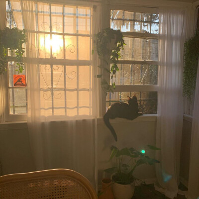 林清玄曾写到：
“传说在北极的人因为天寒地冻 一开口说话就结成冰雪 对方听不见 只好回家慢慢烤来听。遇到谈情说爱 先用情诗情词裁冰 切成细细的碎片 加上酒来煮。如果失恋 就一把大火烧了 烧成另一个春天”