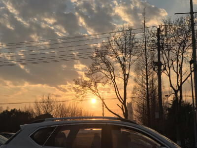 今日份晚饭番茄鸡蛋三明治➕牛奶，哈哈哈，加油今天骑着我王哥的雪地自行车从家骑了一个小时，到达市区，沿途风光无限，心情不错，就是屁股痛，这车的椅子真的是不适合我