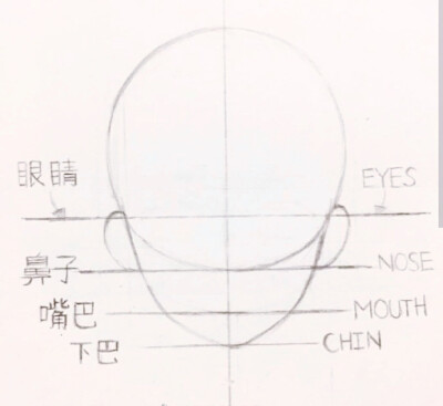 动漫入门