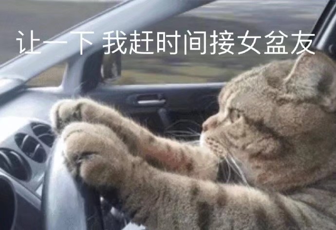 猫狗表情包