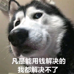 猫狗表情包