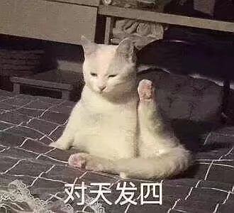 猫狗表情包