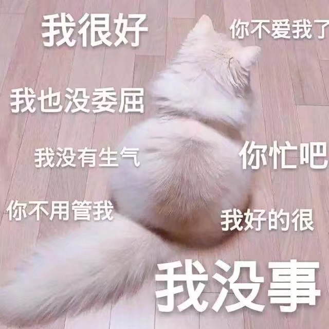 猫狗表情包