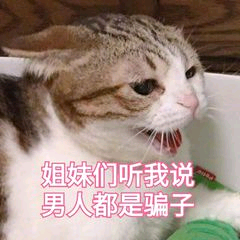 猫狗表情包