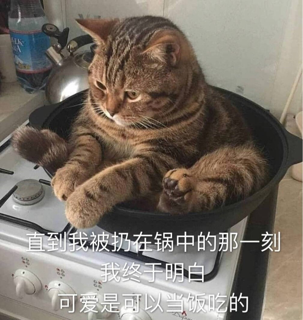 表情包 沙雕