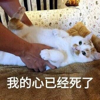 表情包 沙雕