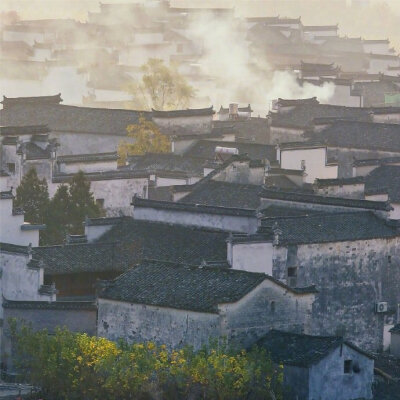 暧暧远人村，依依墟里烟。狗吠深巷中，鸡鸣桑树颠。户庭无尘杂，虚室有余闲。久在樊笼里，复得返自然。—— 陶渊明《归园田居•其一》 #诗词歌赋# #吾爱诗词# #诗词#