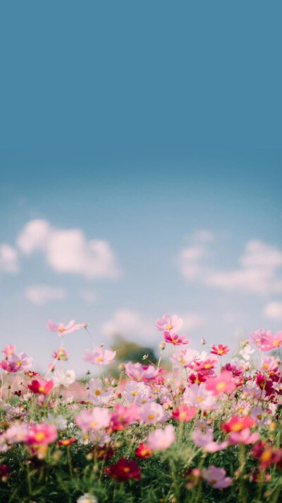 春暖花开