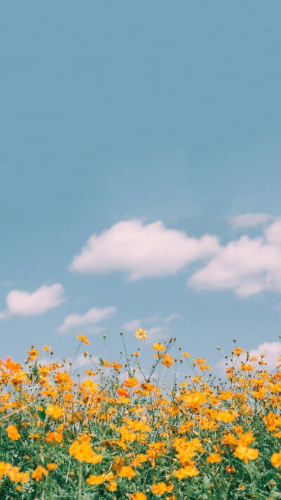 春暖花开