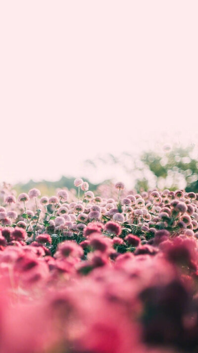 春暖花开