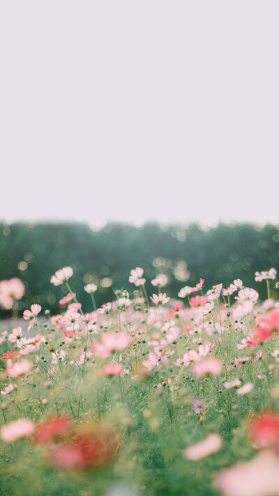 春暖花开