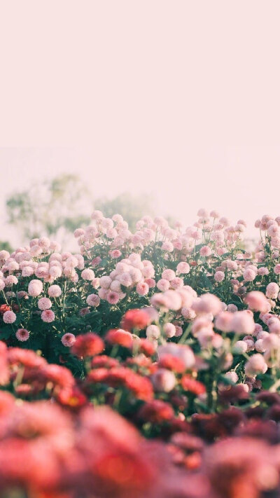 春暖花开