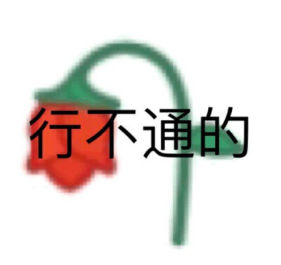 今日份沙雕表情包【追大鹅表情包】