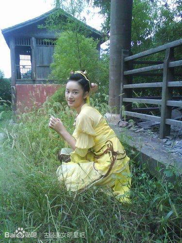 仙剑奇侠传三
郭晓婷 饰 花楹