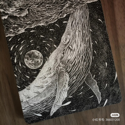 黑白画