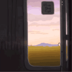 追火车的猫GIF