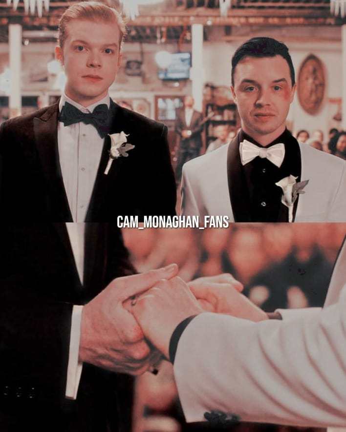 gallavich