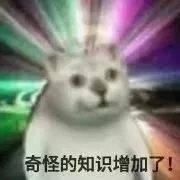 您阔耐呆呆的憨憨猫已上线～
记得来认领哦～