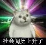 您阔耐呆呆的憨憨猫已上线～
记得来认领哦～