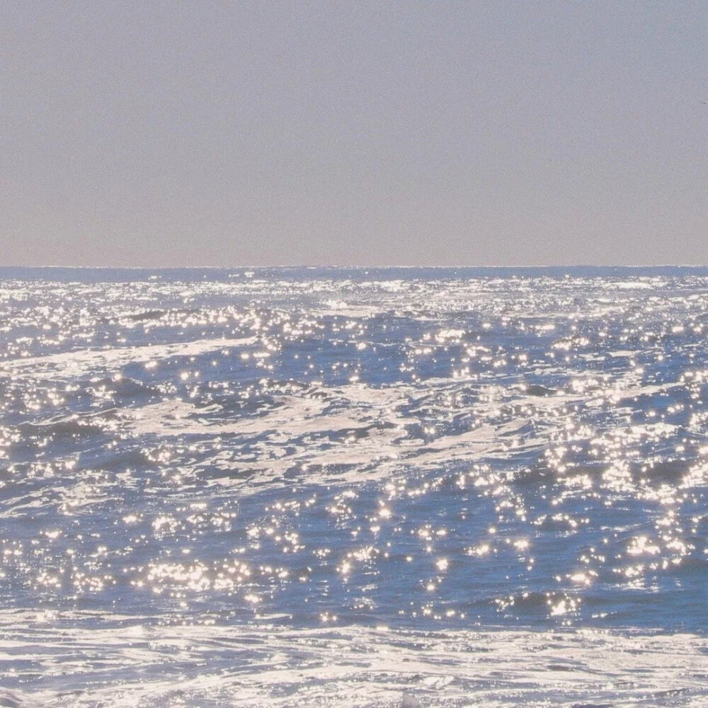 海浪云海山庄与飞鸟