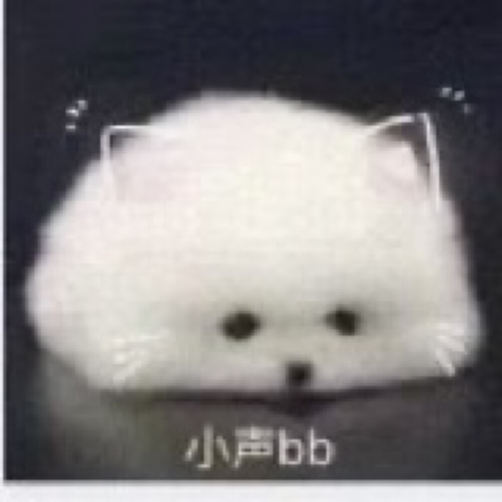 小声bb 糯米团子