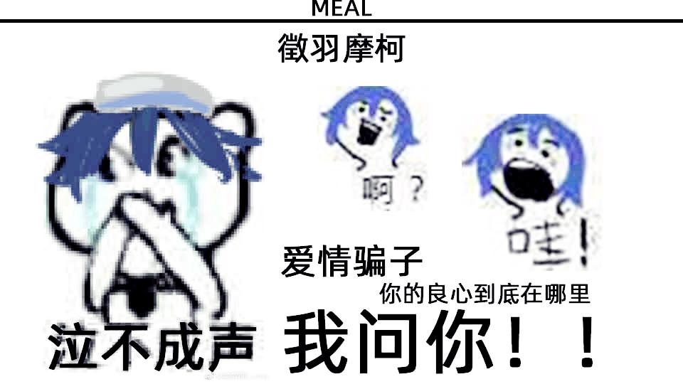 徵羽摩柯♪