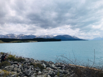 高山湖泊三文鱼农场