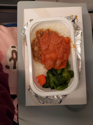 Dinner on the plane