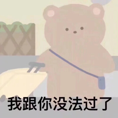 小熊表情包