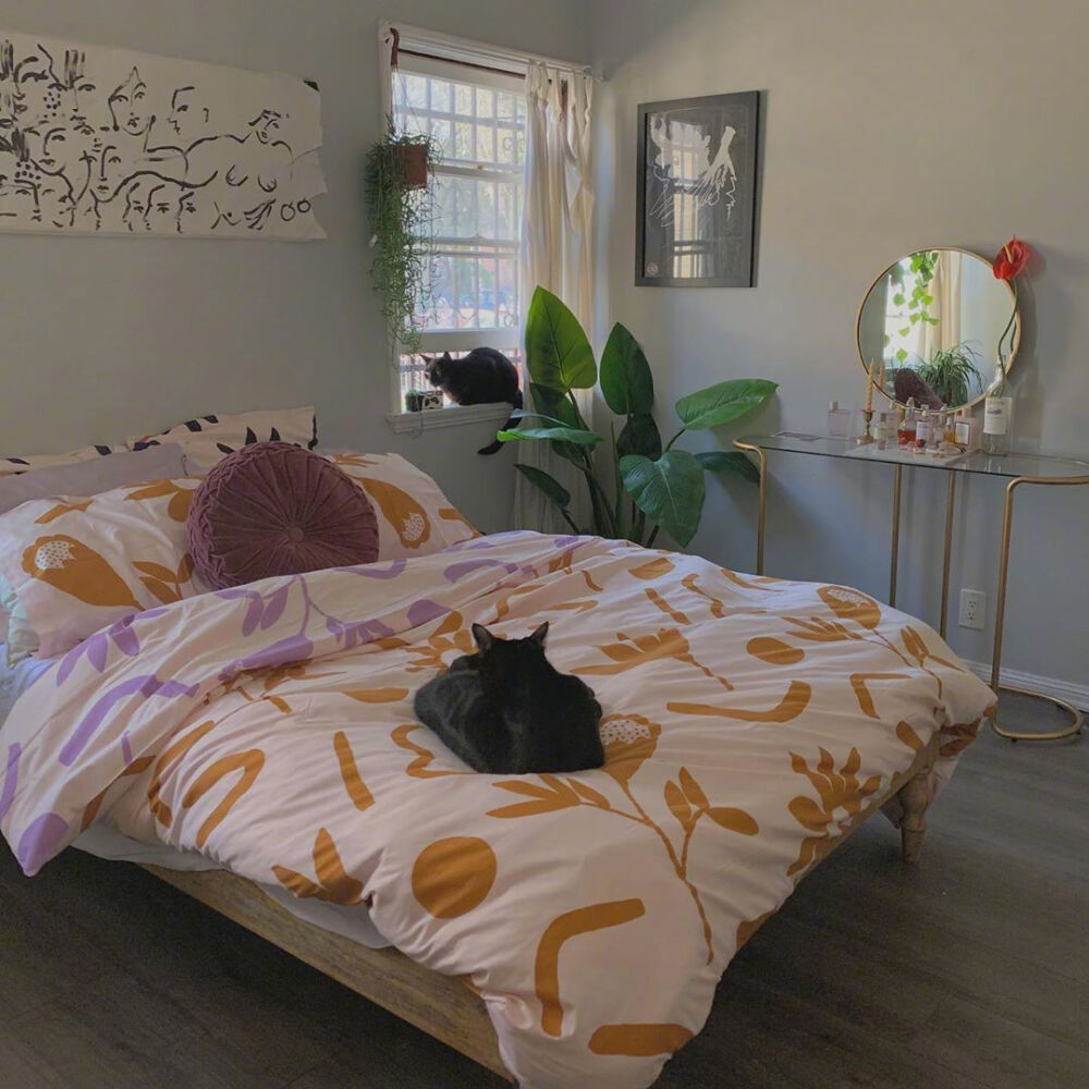 有猫，有你，有我