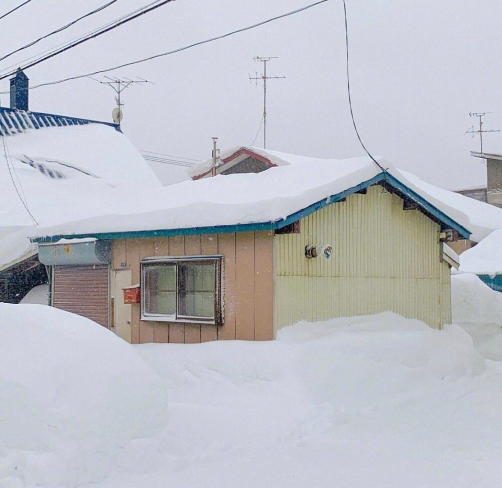 北海道美瑛的雪中小屋❄️ins:hi_dongwon