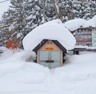 北海道美瑛的雪中小屋❄️ins:hi_dongwon