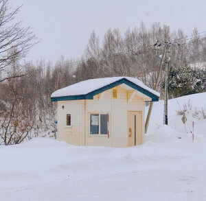 北海道美瑛的雪中小屋❄️ins:hi_dongwon