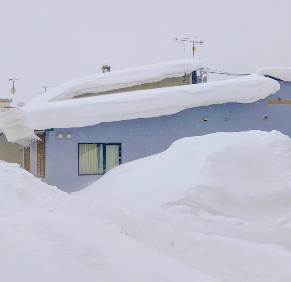 北海道美瑛的雪中小屋❄️ins:hi_dongwon