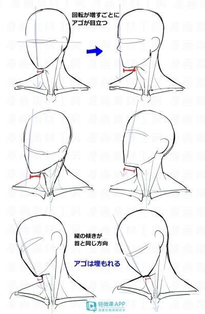 脖颈教程