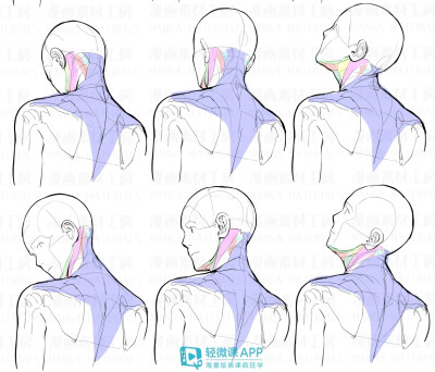 脖颈教程
