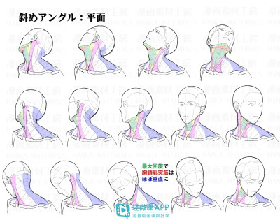 脖颈教程