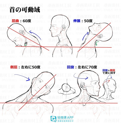 人体教程脖颈