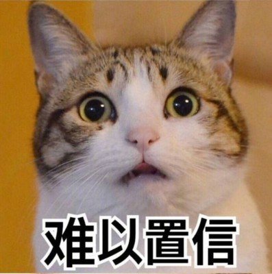 #猫可以傻到什么程度# 来说说你家主子可以傻到什么程度？