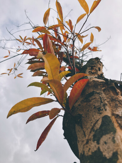 风景～爱与生活不可辜负