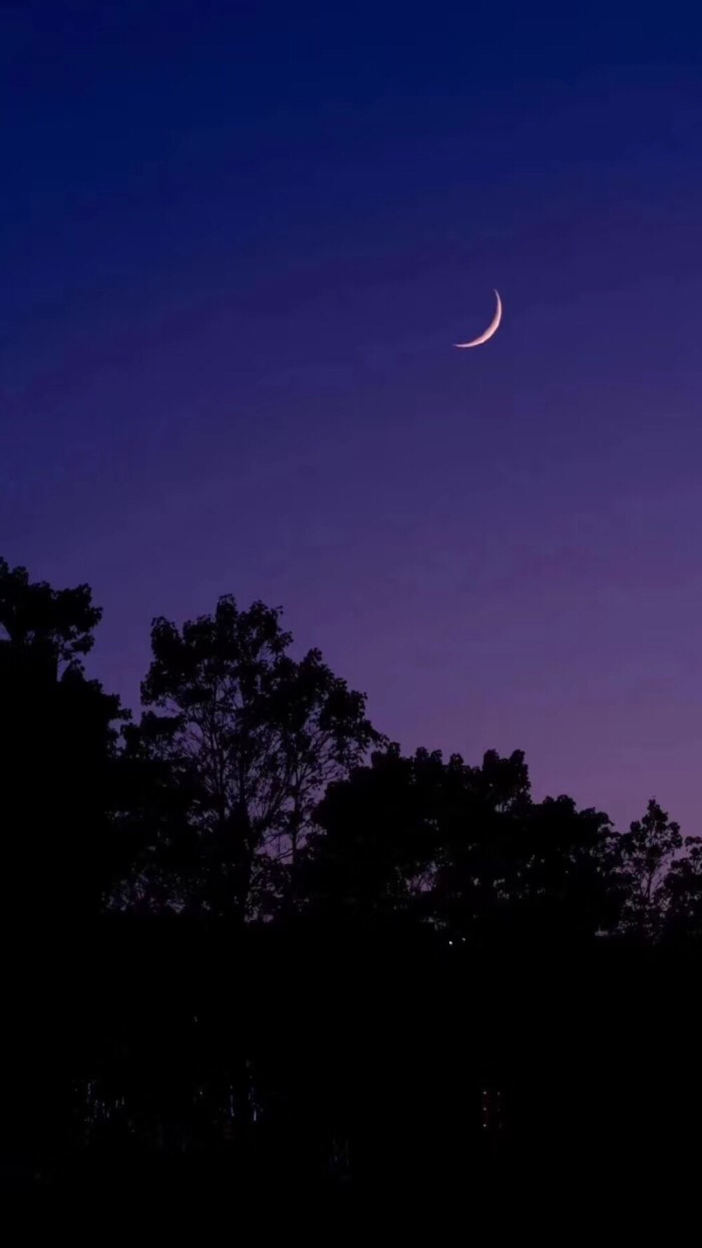 夜晚的星空