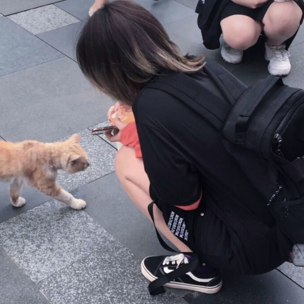 二传注明堆糖沈佳渝