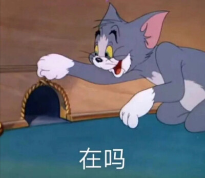 猫和老鼠表情包