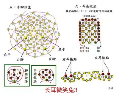 长耳微笑兔走线图