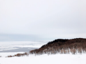   “北海道知床” 