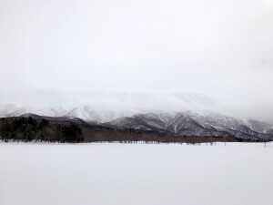   “北海道知床” 