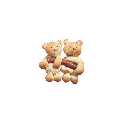 我看到的小动物们