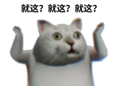 表情包