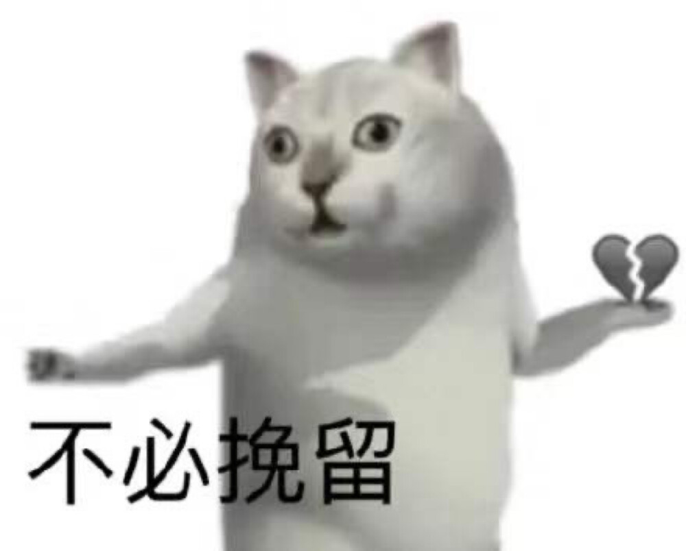 猫表情包