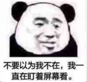 专业熊猫头